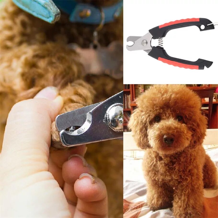 Как пользоваться когтерезкой. Когтерез с ограничителем для собак. Когтерезка для кошек собак, когтерез ножницы стрижки когтей у кошек. Когтерез гриндер. Как пользоваться когтерезкой.