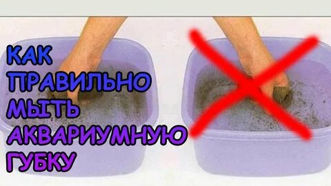 Как правильно помыть аквариум