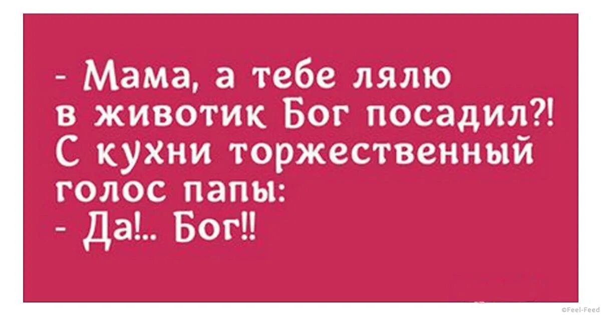 Приколы про семью. Юмор про семейную жизнь. Анекдоты про семейную жизнь. Анекдоты про семейную жизнь прикольные. Смешные фразы про семью.