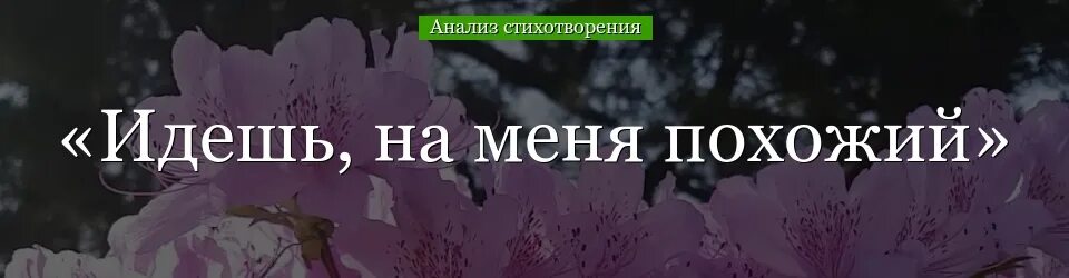 Душа цветаева анализ. Стихотворение идешь на меня похожий. М Цветаева идешь на меня похожий. Идёшь на меня похожий Цветаева анализ. Ты идёшь на меня похожий Цветаева.