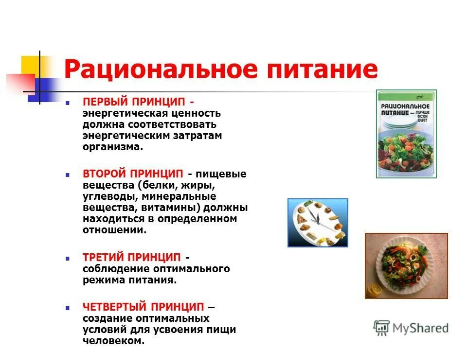 веганская диета. плюсы правильного питания. плюсы правильного питания. минусы правильного питания. минусы правильного питания.