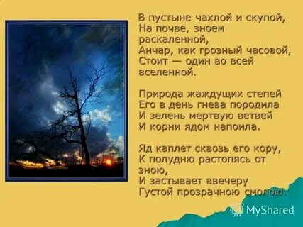 Не остывшая от зною ночь июльская