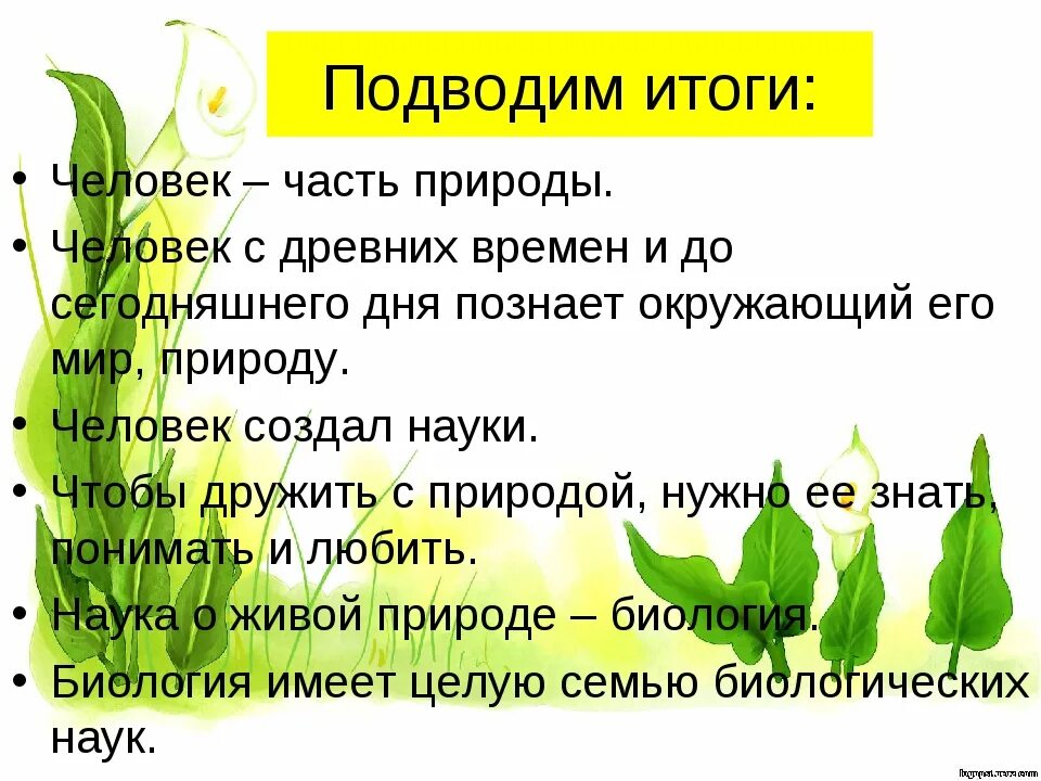 Сообщение человек и природа 5 класс. Человек часть живой природы презентация. Человек часть природы сообщение. Доклад-человек часть природы. Проект человек часть природы.