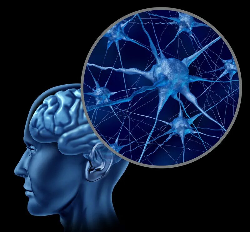 Brain processing. Нейронные связи в мозге. Нейронные сети головного мозга. Нейросеть головного мозга. Нервные клетки мозга.