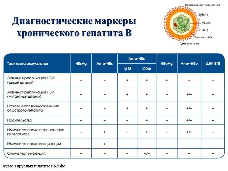 Гепатит б таблица. Маркеры гепатита б таблица. Диагностические маркеры гепатита а. Маркеры хронического гепатита в. Маркер вакцинации гепатита в.