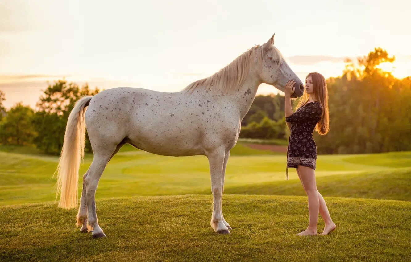 Фотосессия с белой лошадью. Женщина с лошадиным лицом. Girl with horse. Horsegirl. Фотосессия с лошадьми.