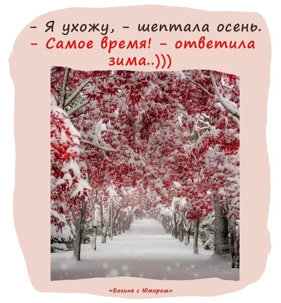 30 ноября последний день. Завтра зима. Завтра будет зима. 30 Ноября завтра зима. Открытки с последним днем осени.