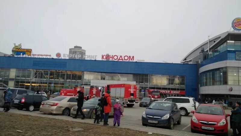 кинодом щербакова 2к.