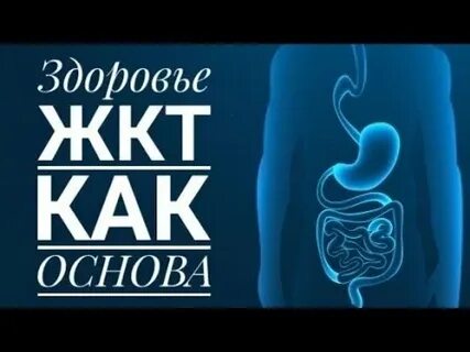 Здоровье желудка