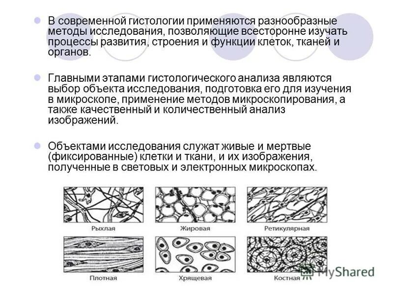 методы изучения клеток и тканей