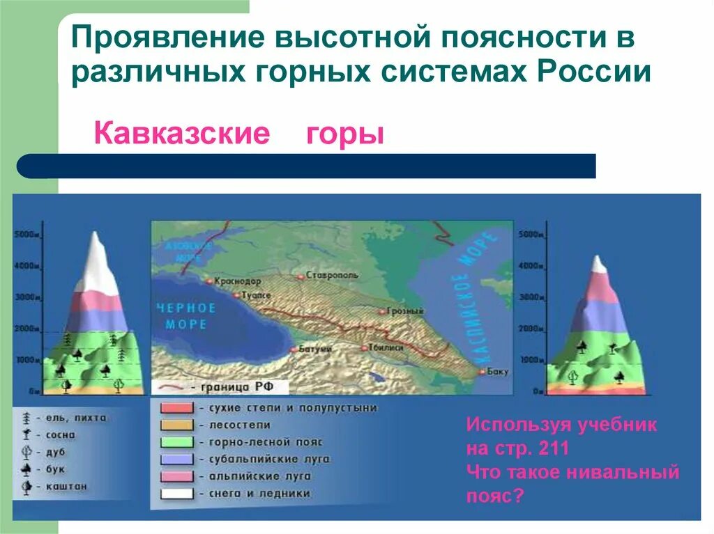 Природные зоны кавказа и урала. Высотная поясность в горах Кавказа. Высотная поясность Росси Кавказ. Высотная поясность класс 8 класс. Высотная поясность Кавказа 8 класс.