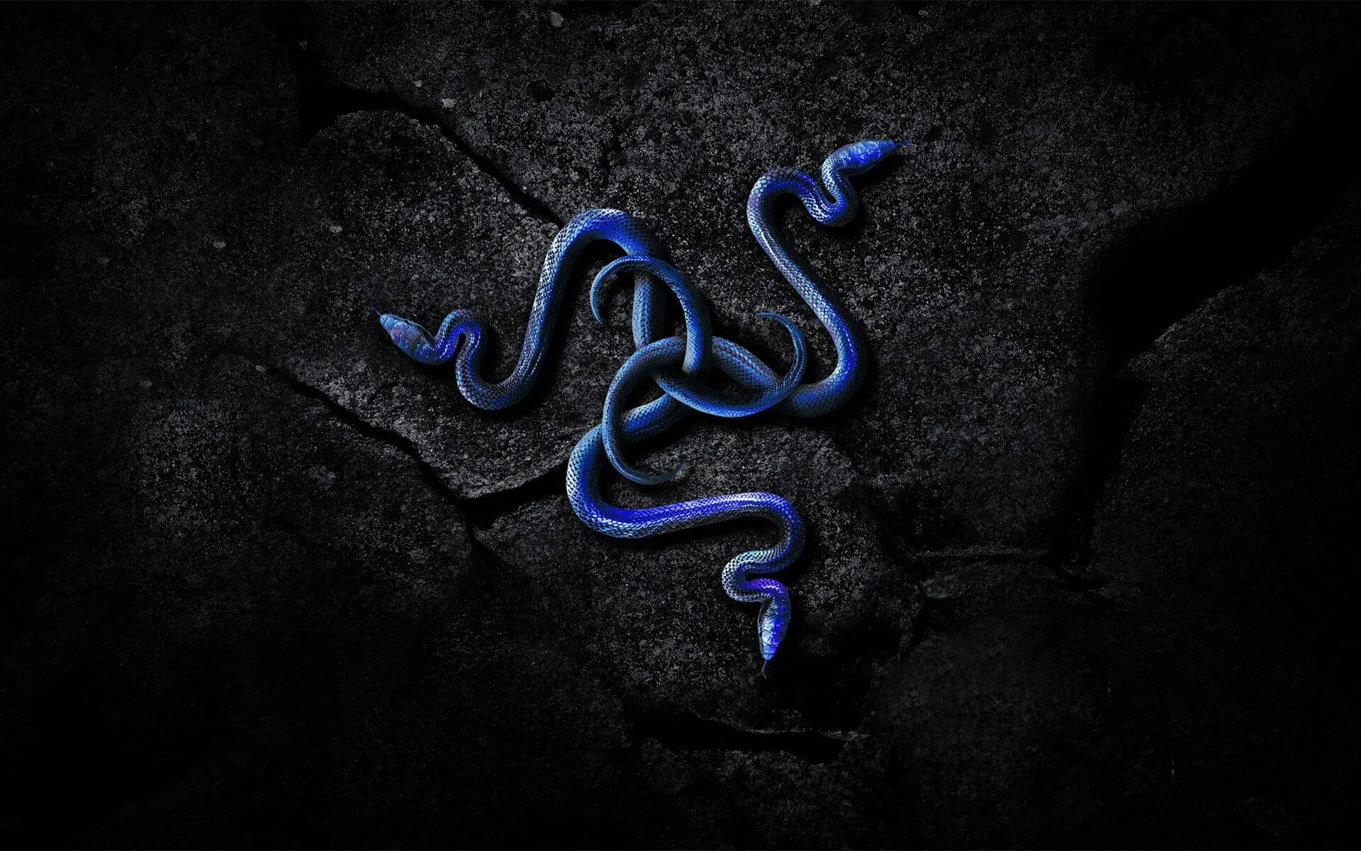 Темного змейка. Змейка рейзер. Razer Snake Snake. Синяя змея. Змеи на заставку.