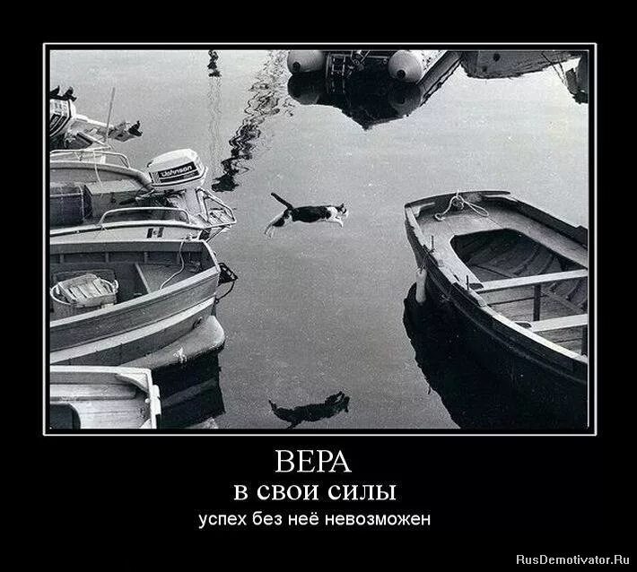 экстремальная любовь. франкл цитаты. канатоходец над пропастью. вера в себя цитаты. уверенность в себе.