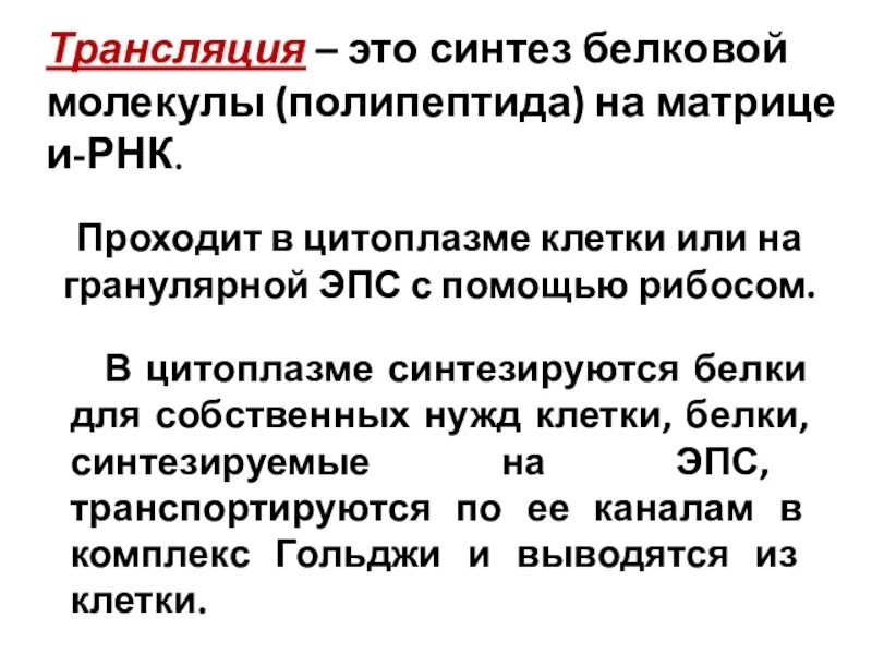 Трансляция тем. Синтез. трансляция это синтез. механизм трансляции. синтезировать это.