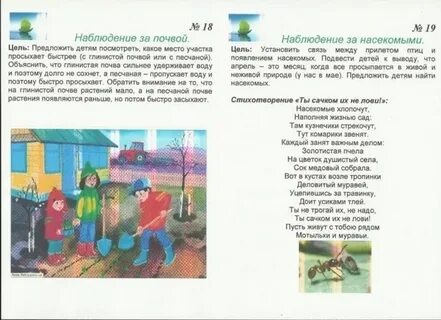 Стихотворение наблюдение