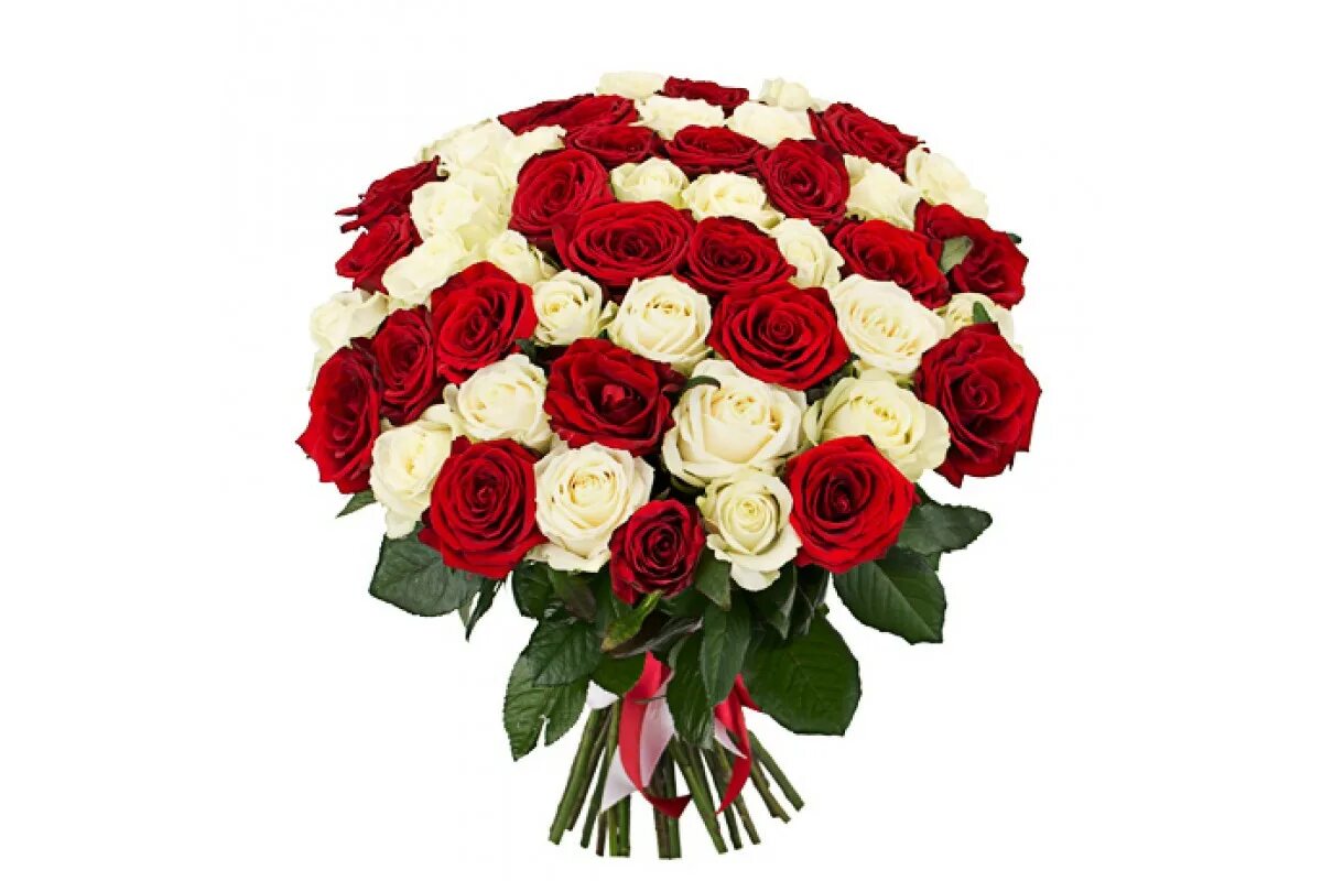 Комбинированные букеты из роз. Букет из белых и красных роз. Красно-белый букет кустовых роз. Розы бело красные название