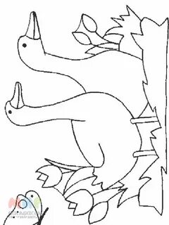 Раскраска Гусь - Мир раскрасок