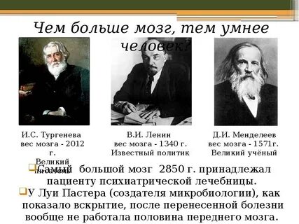 Мозги великих людей