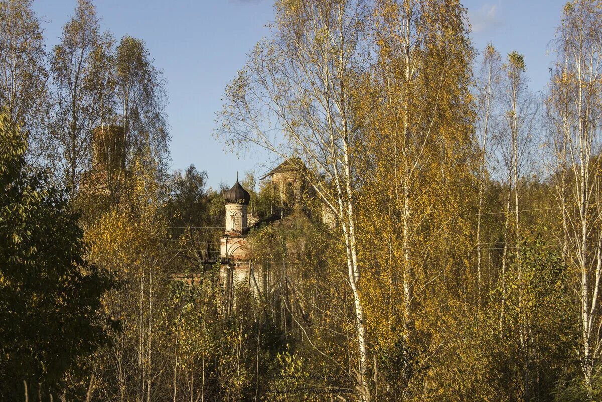 Погода зеленцово никольского вологодской. Село Зеленцово Нижегородская область. Село Зеленцово Вачский район. Село Зеленцово Вачского района Нижегородской области. Церковь Богоявления Зеленцово Вачский район.