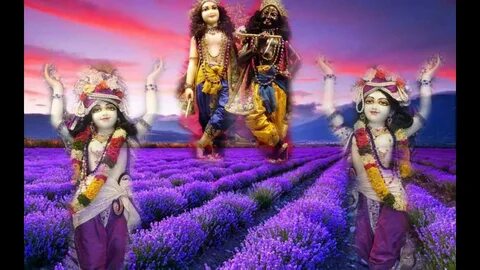 Hare krishna