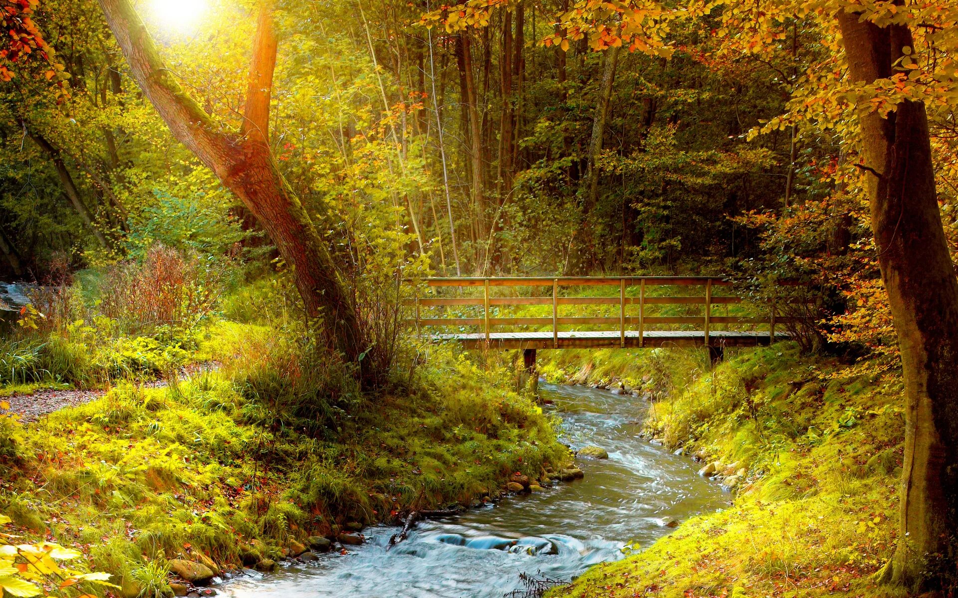 Nature is beauty. Ручей мостик в лесу Шишкин. Шишкин ручей. Мостик в лесу 1878. Природа осень. Осень в лесу.