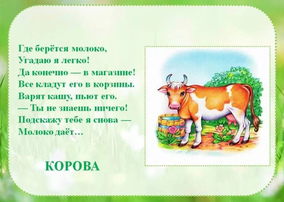 Что пьет корова загадка. Стих про корову для детей. Загадка про корову для дошкольников. Загадки про домашних животных. Стихи про домашних животных.