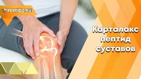 Пептиды для суставов и хрящевых тканей