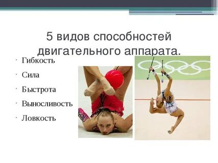 Вид спорта преимущественно развивающий ловкость