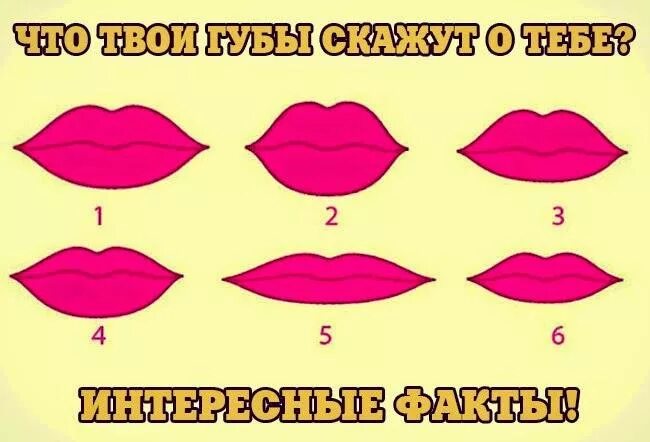 Скажи губам твоим. Картинки губ. Формы губ. Разные формы губ. Губы и характер.