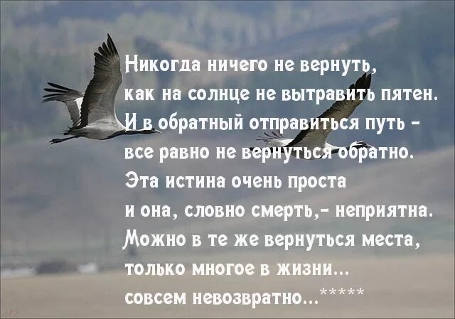 Жизнь не вернуть никогда. Никогда ничего не вернуть. никогда ничего не вернуть стих. стих но вернуться назад невозможно. стихи ничего не вернуть.