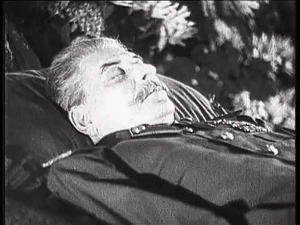 Почему сталин застрелился. Сталин Иосиф Виссарионович смерть Сталина. Сталин Иосиф Виссарионович похороны.