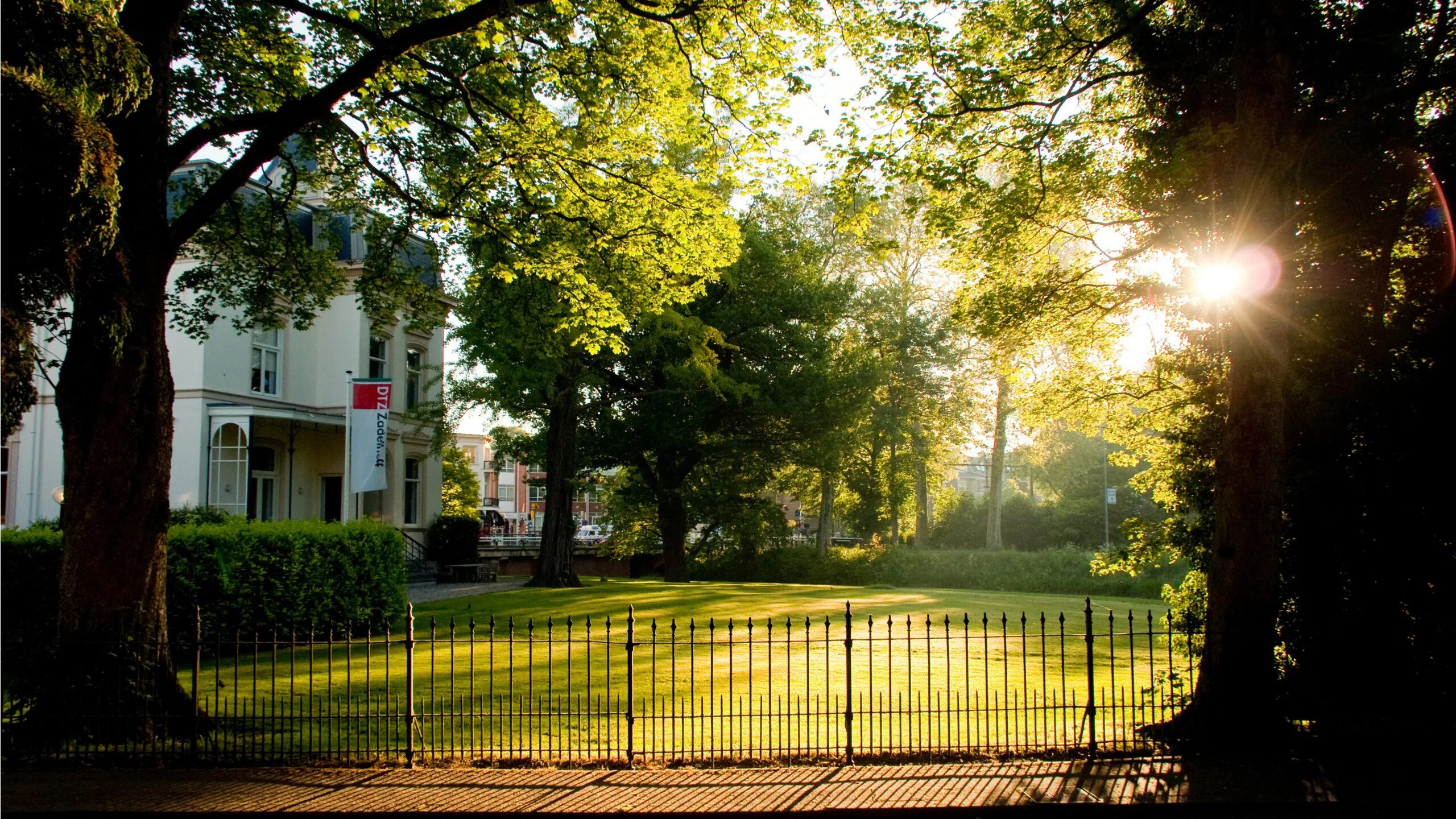Улица утро. Шведский художник johan krouthen. Дождь летом. Утро во дворе. Дождливый день.
