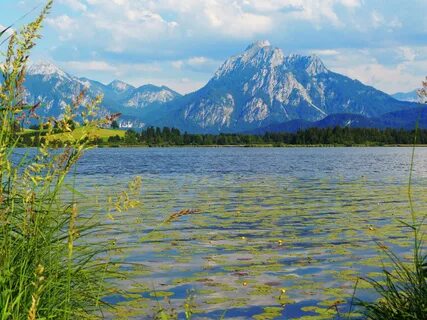 Луг вода