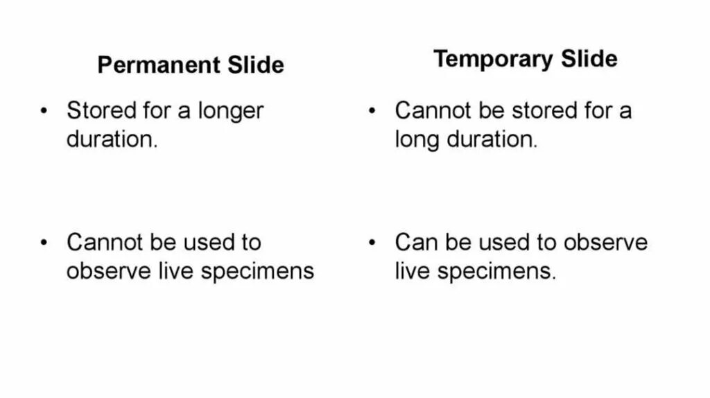 Permanently перевод. Temporary permanent. Temporary перевод. Temporary and permanent Luting.