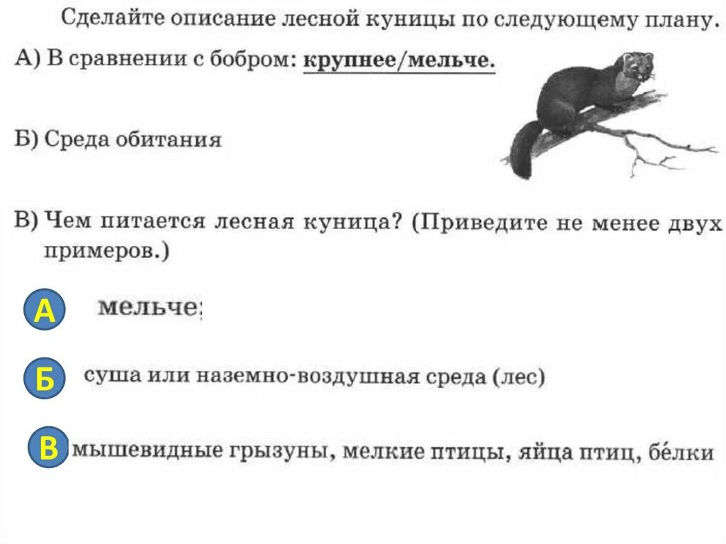 Какие среды обитания освоила груша. . Сделайте описание Лесной куницы по следующему плану.. Куница лежит. Какую среду обитания освоили Шмель ВПР. Среда обитания Сокола ВПР.