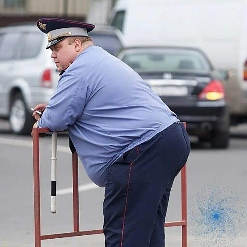 До какого дослужился толстый. Толстый полицейский. Жирный гаишник. Толстый ДПС.