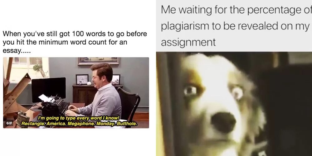 Meme words. Эссе Мем. Word memes. Writing essay memes. Student memes.