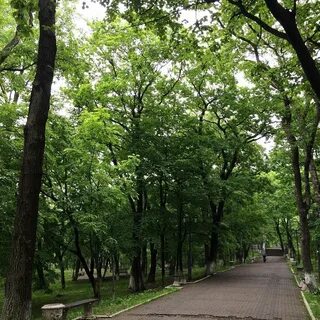 Парки владивостока для прогулок
