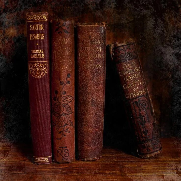 Красно коричневый книга. Красная книга эстетика. Красная книга. Красная книжка. Красно коричневый книга.