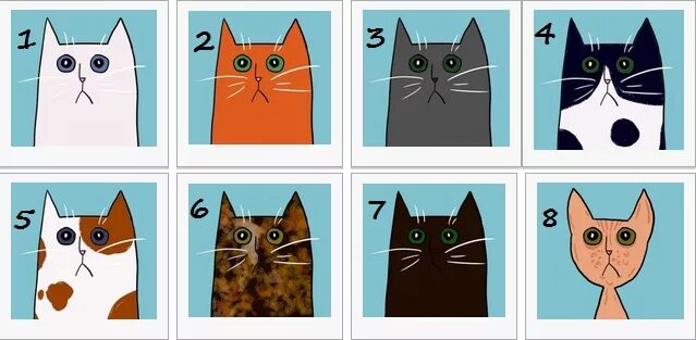 Тестирование котики. Выбери кота и узнай. Тест выбери кота. Психологический тест с котами.