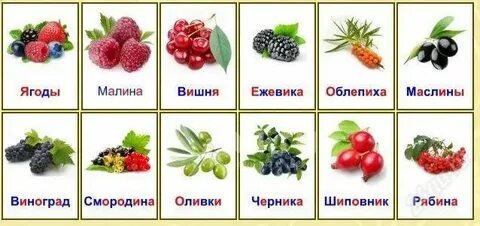 Карточки ягоды для детей