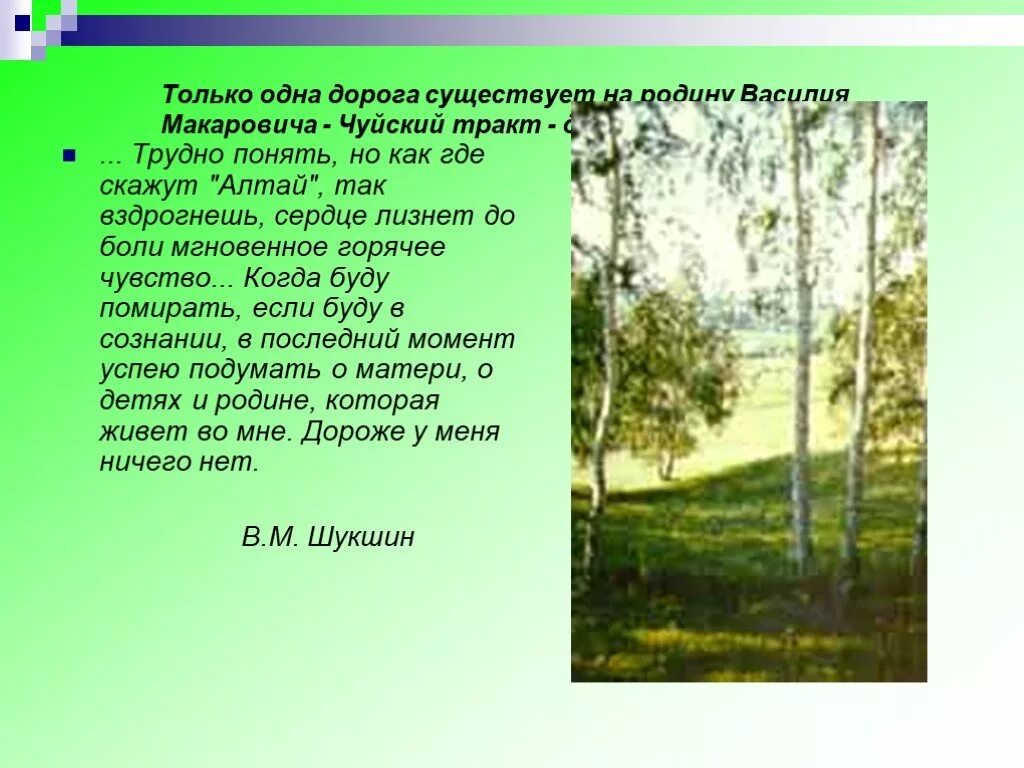 Текст шукшина родине. Шукшин на природе. Стихи Шукшина о родине. Шукшин стихи о родине.