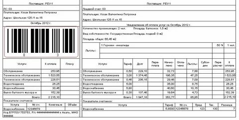Отопление по счетчику или по нормативу