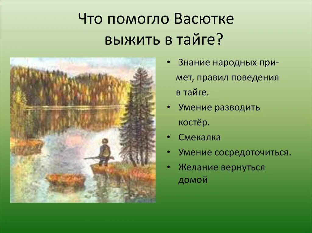 Поступки героя васюткино озеро. О тайге 5 класс Васюткино озеро. Что помогло Васютке выжить в тайге. Васюткино озеро Васютка в тайге. План рассказа Васюткино озеро.