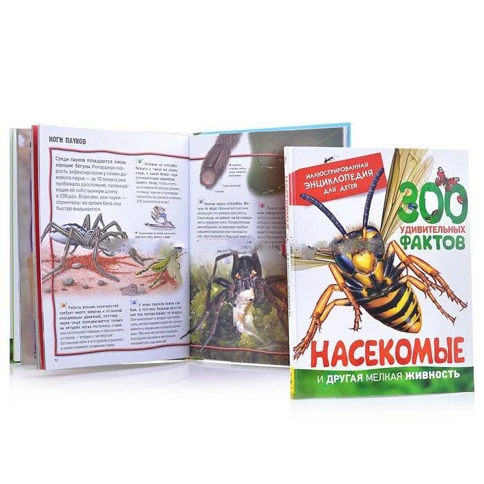 Насекомые. Насекомые. Большая книга насекомых. Энциклопедия. Энциклопедия насекомых для детей.