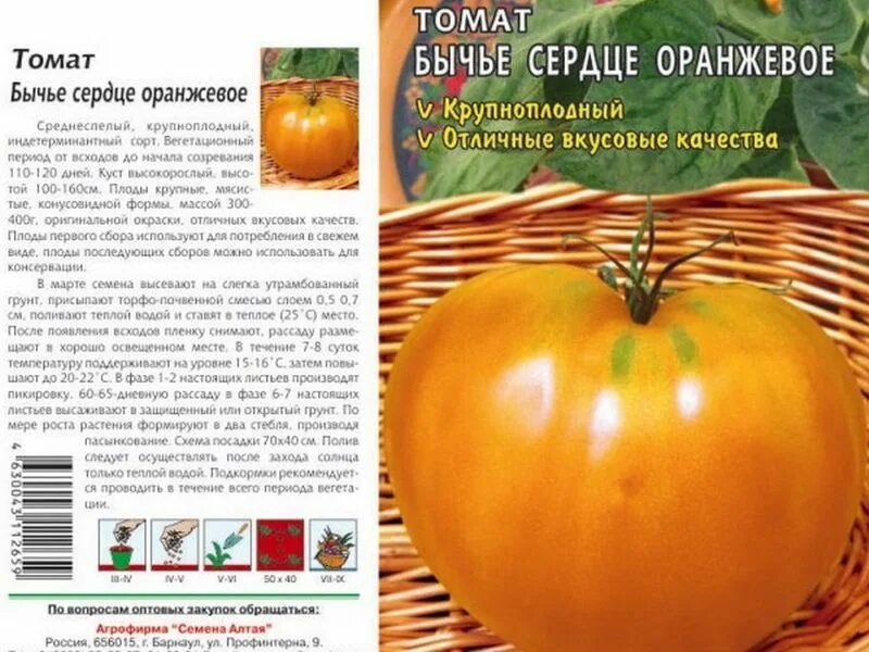Томат "Оранжевый слон": полезный и вкусный