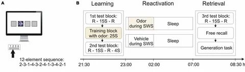 St testing