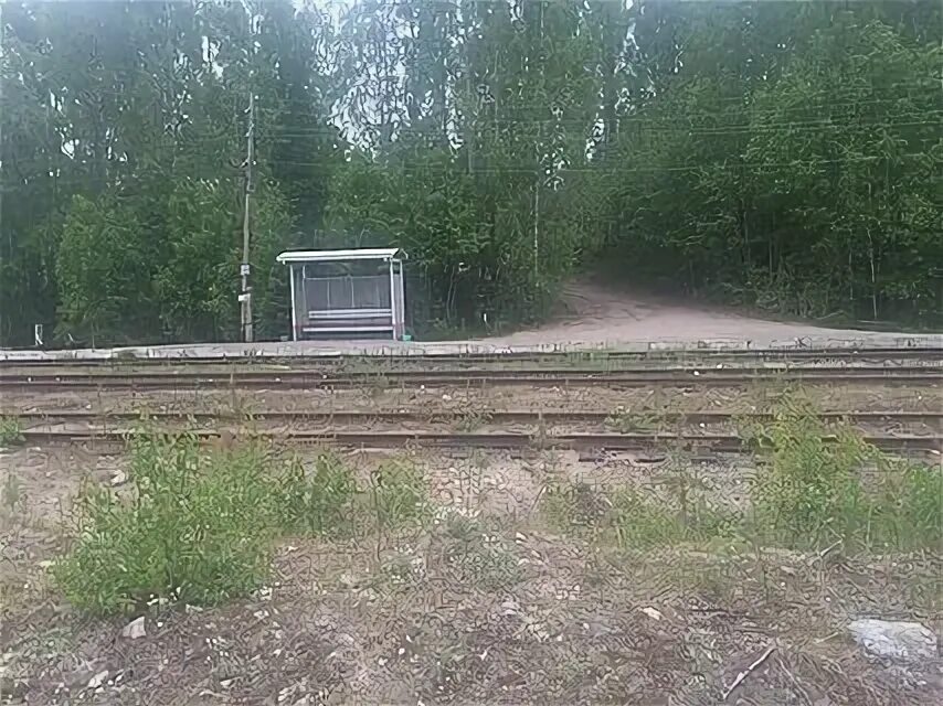 Лендеры 1 карелия. Кудама карелия. Погода в лендеры форека на неделю. Погода в лендеры форека на неделю. Погода в лендеры форека на неделю.