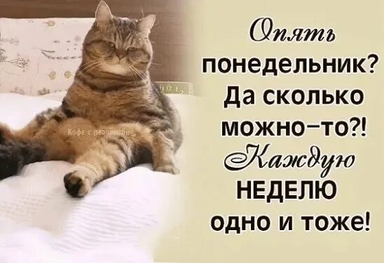 Нанами кенто. Кавагучи харуна и ямазаки кенто. Не одну неделю. Конечно можно было бы не пить по выходным. Неделя до каникул.