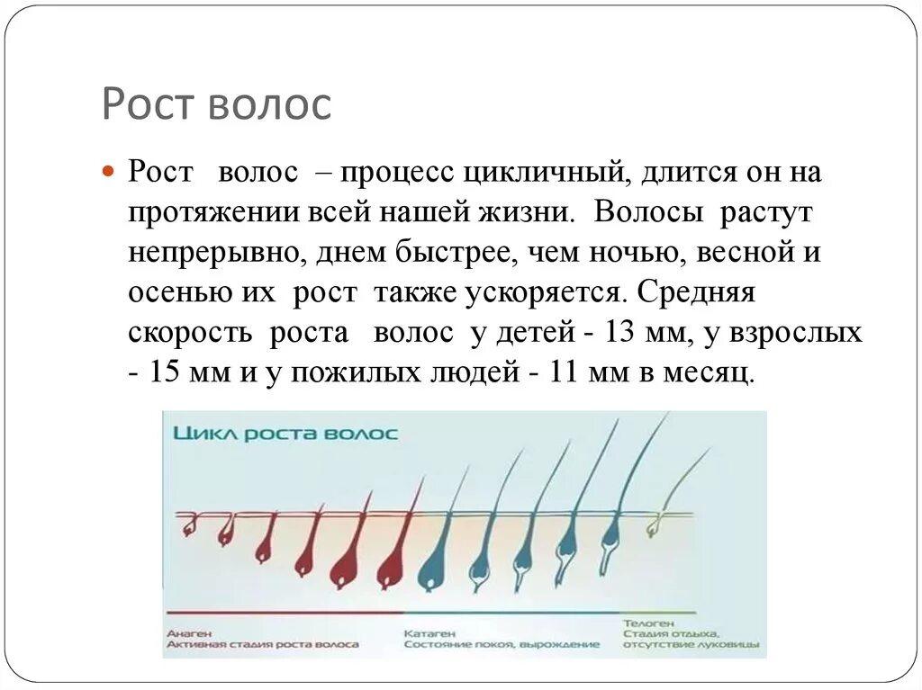 Скорость роста волос на голове. Нормальная скорость роста волос. Примерная скорость роста волос. Средняя скорость роста волос на голове. Почему плохо растут волосы на голове